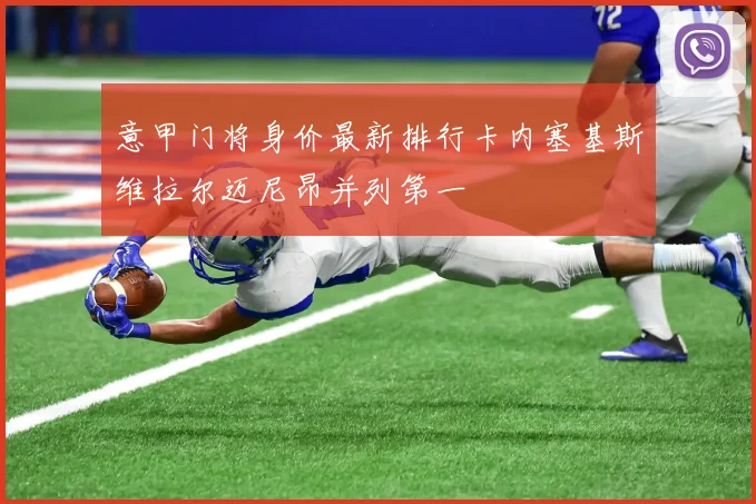 意甲门将身价最新排行卡内塞基斯维拉尔迈尼昂并列第一