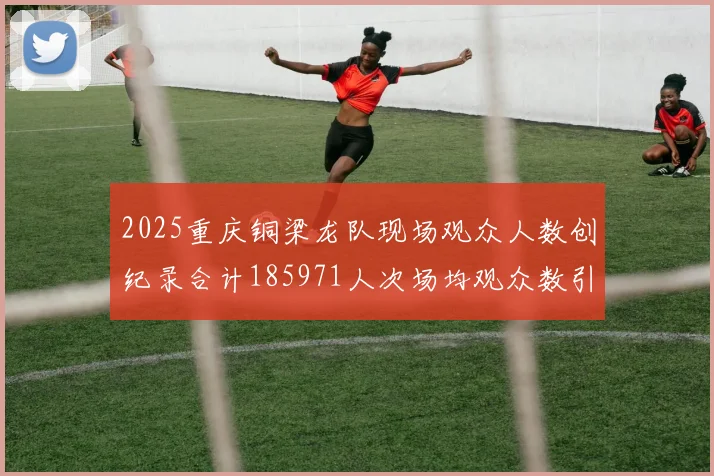 2025重庆铜梁龙队现场观众人数创纪录合计185971人次场均观众数引发热议