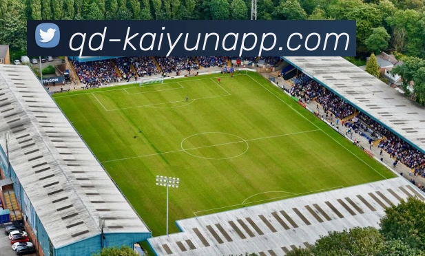 开云体育平台生态图