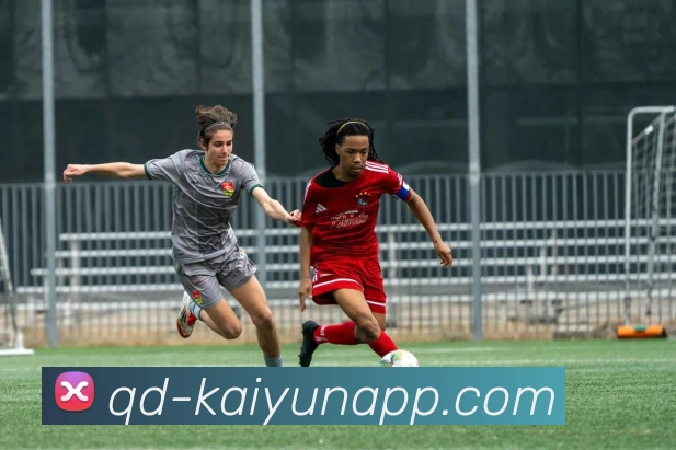 开云体育全站App